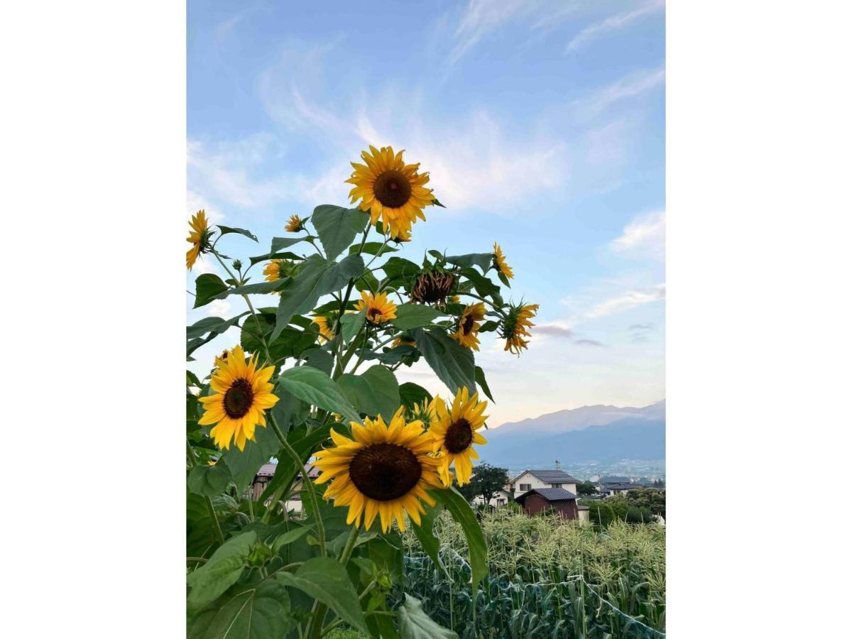 Longhillsecoguesthouse&Cafe - Vacation Stay 24885V Ome Εξωτερικό φωτογραφία